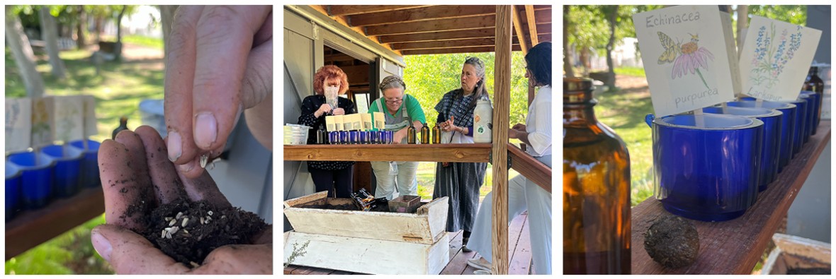 Los Poblanos employees making pollinator seed balls for World Bee Day.