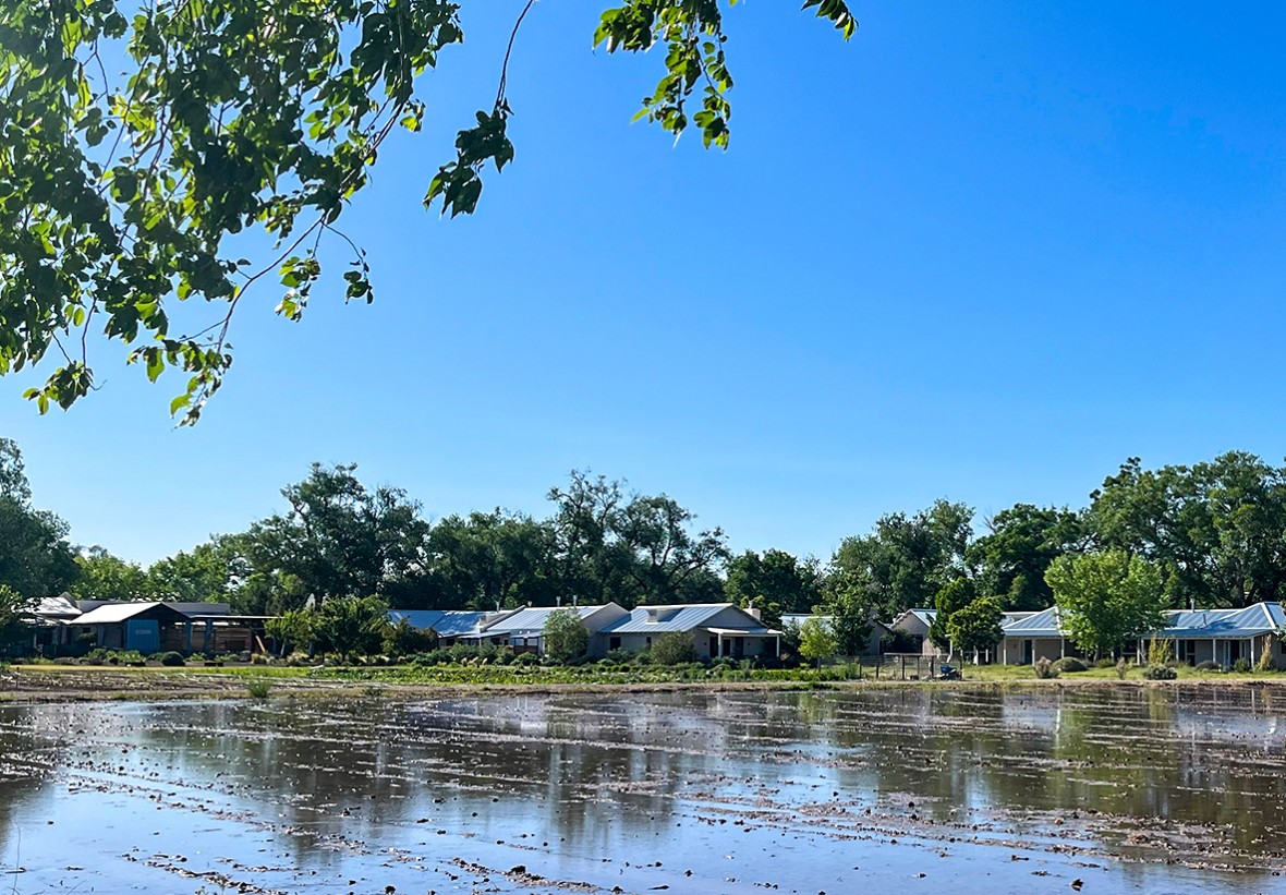 Flood irrigation at Los Poblanos