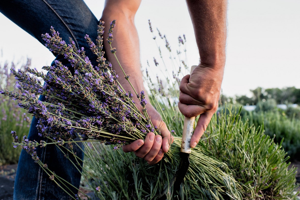 Photo by Sergio Salvador